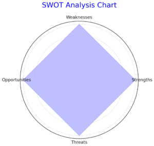 SWOT분석